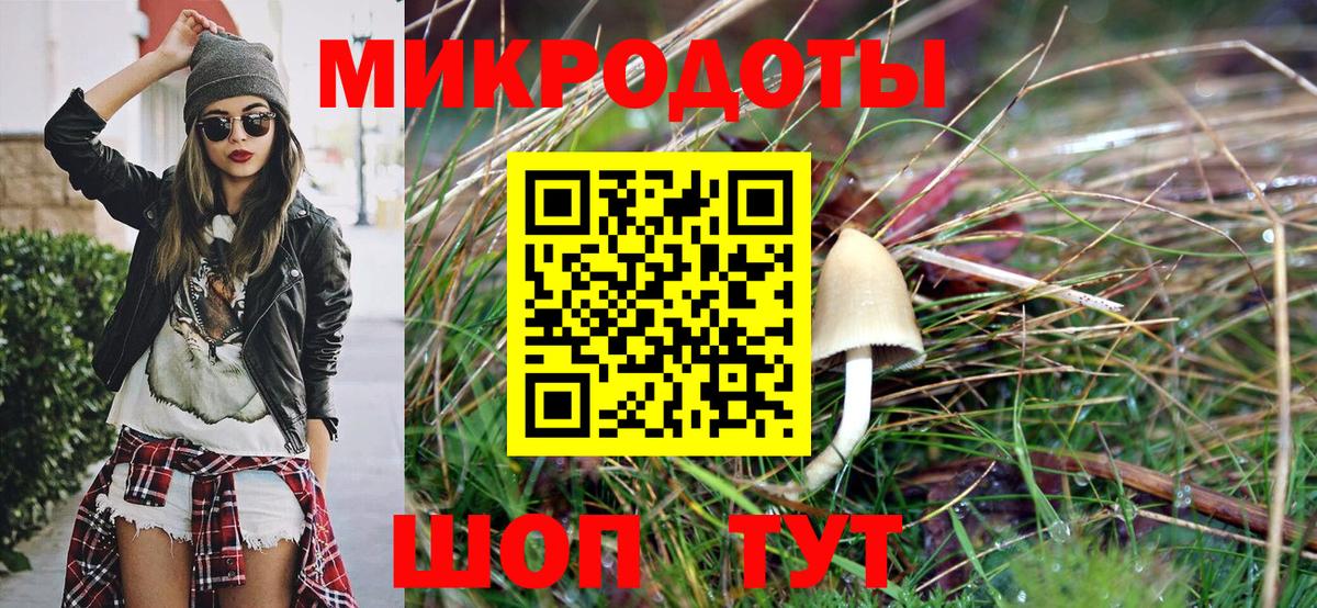 Минусинск  Псилоцибиновые грибы мухоморы  Вход с VPN 